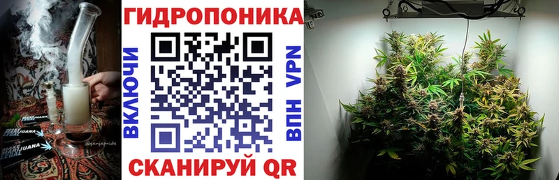 дарк нет наркотические препараты  Сковородино  Каннабис Ganja 